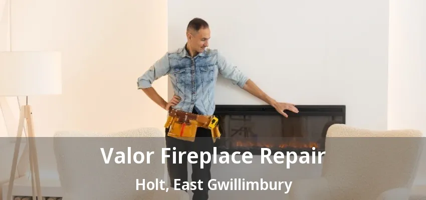 Valor Fireplace Repair Holt, East Gwillimbury - ON