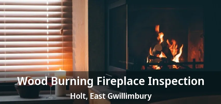 Wood Burning Fireplace Inspection Holt, East Gwillimbury - ON